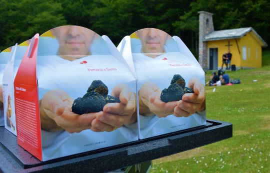 Trek-Picnic Gourmet sul Monte Nerone